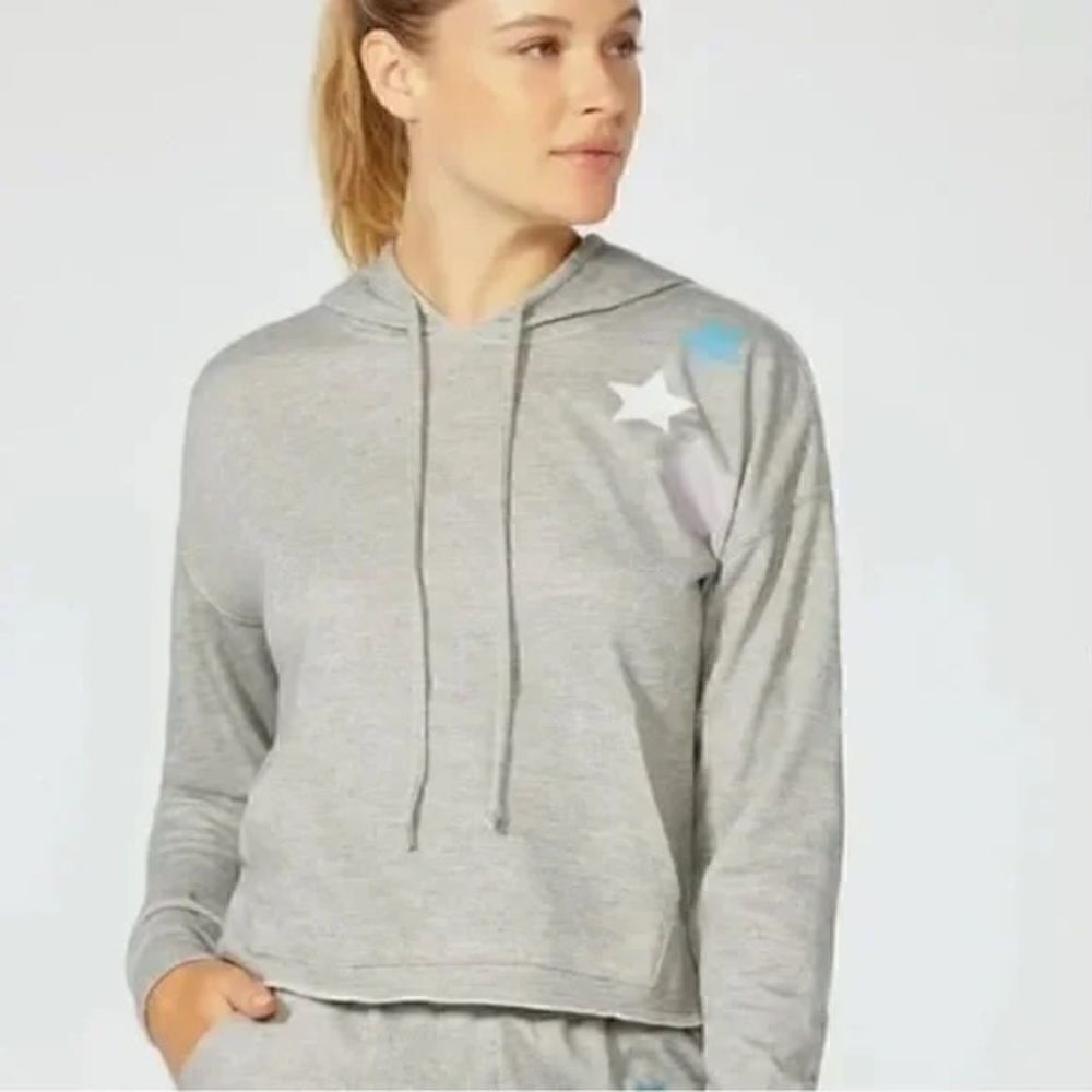 Wildfox Star Cropped Hoodie Sweatshirt Grey Large